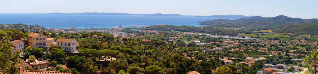 bormes les mimosas